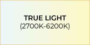 True light icon.